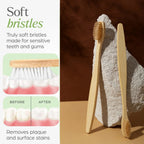 Wall Mounted Toothbrush Holder Set – Hygienic Bamboo Brushes